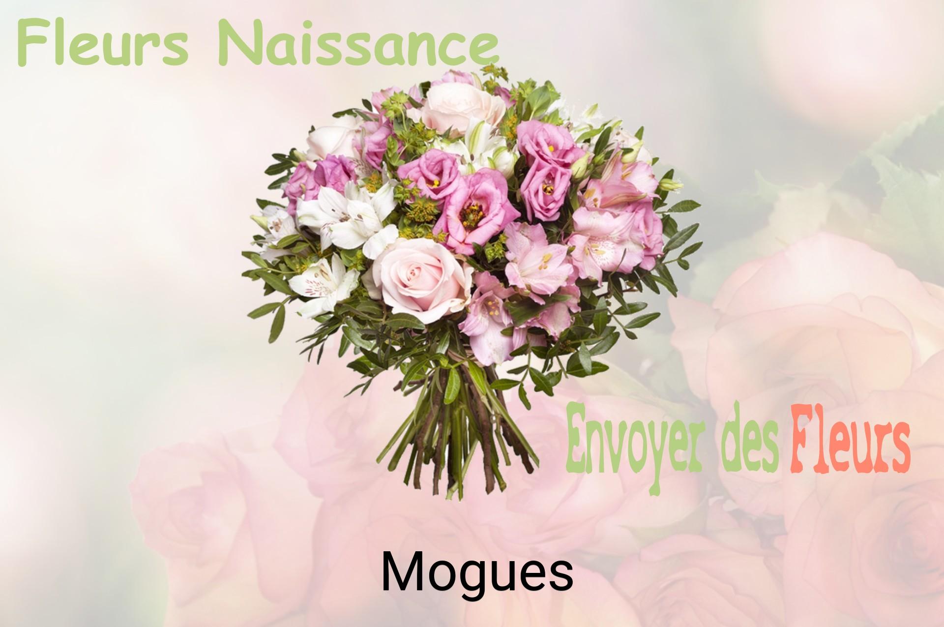 Bouquet de fleurs de naissance livré à Mogues